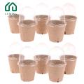 Lumina Root Observation Plant Pot Biodegradable Plant Nursery Pots with Humidity Dome Eco-friendly Starter Pots for Gardeners. 