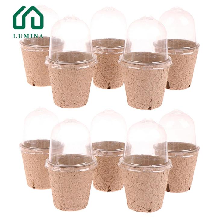 Lumina Root Observation Plant Pot Biodegradable Plant Nursery Pots with Humidity Dome Eco-friendly Starter Pots for Gardeners