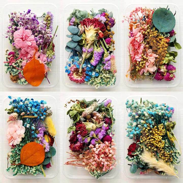 Mix Beautiful Real Dried Flowers Natural Floral For Art Craft Scrapbooking Resin Jewelry Craft Making Epoxy Mold