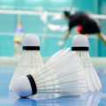 【EleganceWorld】3pcs Badminton Shuttlecocks Indoor Outdoor Sports Badminton Balls Quality Duck Feather Training Balls Windproof Shuttlecock. 