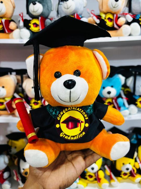 Graduation Teddy Bear | Graduation Gift Degree Bear | University Convocation Gift | Diploma Gift (24cm)