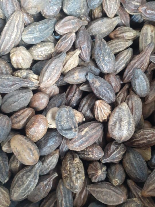 Kadukkai%20(%E0%AE%95%E0%AE%9F%E0%AF%81%E0%AE%95%E0%AF%8D%E0%AE%95%E0%AE%BE%E0%AE%AF%E0%AF%8D)%20-%20250g%20(Harde%20Whole)%20-%20Image%202