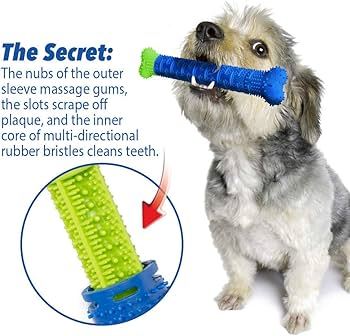 Chewbrush™ Dog Teeth Cleaning Tooth cbgd brush Toys DENTAL Self