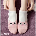 Women's Socks Pack - Assorted 5 Pairs for Growing Feet in Girls Socks. 