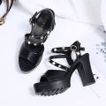 2024 New Sandals Women's High Heels Chunky Heel Waterproof Platform Thick Bottom Fish Mouth Internet Celebrity Versatile Single-Layer Shoes Summer Non-Slip. 