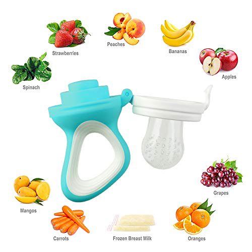 Dr%20Gym%20Baby%20Food%20Feeder%20Fruit%20Feeder%20Pacifier%20-%20Image%202