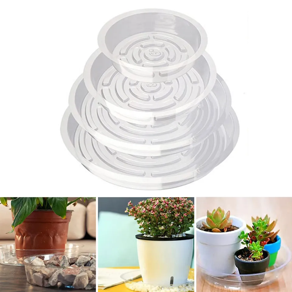 507696_5 507696_5