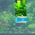 Small SHANDA Magnetic Aquarium Fish Tank Glass Algae Scraper Glass Cleaner Scrubber Clean Brush Floating Scratch-Free Non-Slip Magnetising Aquarium Magnet Cleaner Fish Tank Magnetic Glass Brush Scrubber Fish Tank Decoration Aquarium Plant Fish Tanks. 