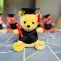 Graduation Teddy 26cm \ Graduation Gift \ University Convocation Gift \ Graduation Bear \ Diploma gift. 