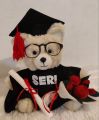 Personalized Graduation Teddy Bear. 