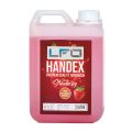 LFO Handex Mega Deal Sweet Strawberry Fresh Hand Wash Antibacterial Moisturizing 100% Soap Free Liquid Hand Cleaner Fights Bacteria and Viruses. 