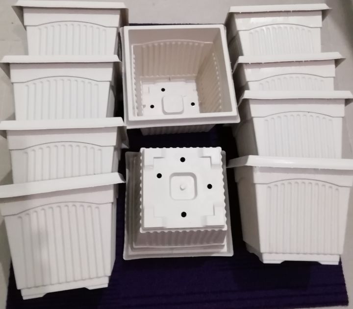 Plastic%20Pots%20(HEIGHT-14cm/WIDE-16cm)-10%20PCS%20PER%20PACK-Black%20,%20Red,Black&Green%20-%20Image%202