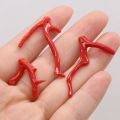1PCSNatural Stone Coral Bead Red Irregular Branch Shape Pendant For Jewelry Making DIY Bracelet Necklace Earrings Charm Gift. 