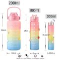 3 in 1 Bottle set/Kit 3 Bottles 2 Liters 900ml 300ml Water Bottles Straw Stickers 3d and 2d Squeeze Leakproof Portable Travel bottles Gym Fitness School Work Ride Trave. 