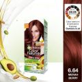 GARNIER COLOUR BERRY RED. 