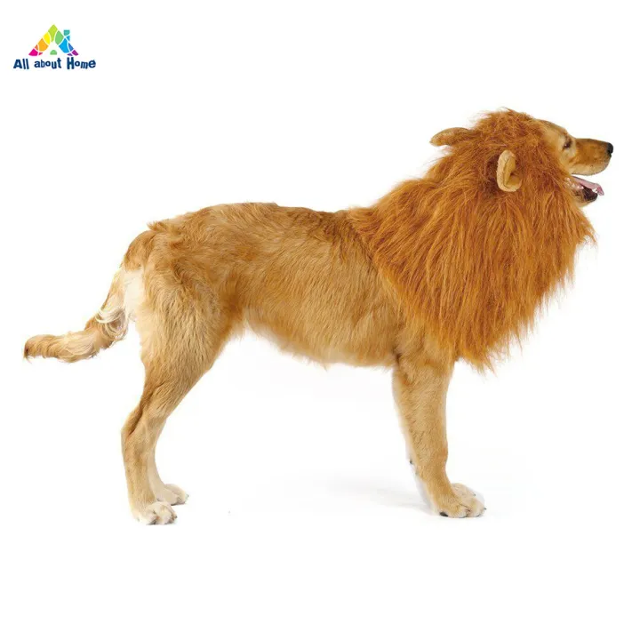 ABH Pet Costume Lion Mane Wig with/without Ears for Large Dog Halloween Clothes Fancy Dress up