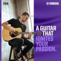 Yamaha Acoustic Guitar  - F310. 