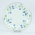 Blue Rose 21 PCS Dinner Set. 