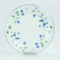 Blue Rose 21 PCS Dinner Set. 