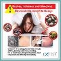 Dust Mite Removal Kit Natural Herbal X 6 Sachets ( Dust Mite Killer ). 