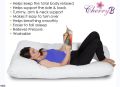 Pregnancy Pillow. 