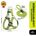 Radium Reflective Dog Leash with Harness Set (Small). 
