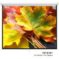 Wall / Ceiling Mounted Manual Projector Screen (70"X70"). 