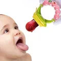 Small Baby Fruit and Vegetable Nibbler-Fresh Fruit Teether. 