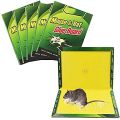 Mouse & Rat Glue Traps - 3 Pack - Large Size Mouse Glue Trap 3 Pieces. 