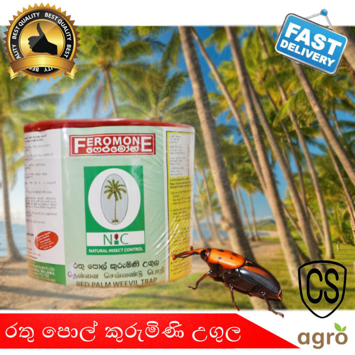 Pheromone%20Red%20Palm%20Weevil%20Trap%20100%25%20Natural%20Insect%20Control%20Rathu%20Polkurumini%20Ugula%20-%20Image%202