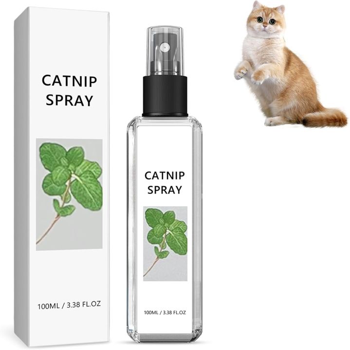 Snapshot of Cat Calming Products With Catnip