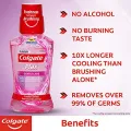 Colgate Plax Mouthwash, Liquid - 250Ml (Gentle Care) (Pack Of 1) FROM INDIA(SAM). 