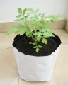 UV Treated 16*16inch home garden seed planting 10pcs UV grow bags. 