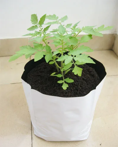 UV%20Treated%2016*16inch%20home%20garden%20seed%20planting%2010pcs%20UV%20grow%20bags%20-%20Image%205