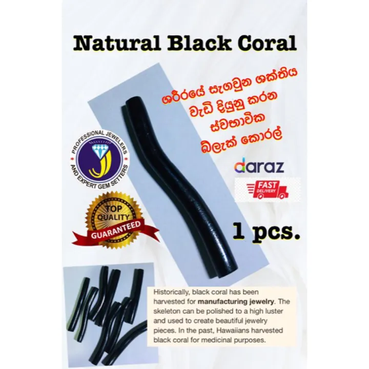 Natural Black Coral 1pcs.