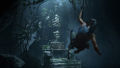 Shadow of the Tomb Raider  Pc Game. 