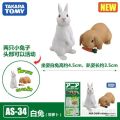 TAKARA TOMY Ania AS Series Hippo Lion Tiger Elephant Gorilla Penguin Panda Giraffe Animal Model for Children. 