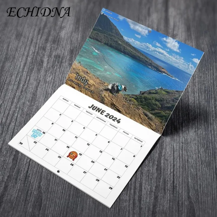 Puppy%20Pooping%20Calendar%202024%20Exquisite%20Pattern%20Wall%20Calendar%20Thick%20Sturdy%20Paper%20Fade-resistant%20Full%20Page%20Months%20Perfect%20for%20Dog%20Lovers%20in%20Southeast%20Asia%20Dog%20Poop%20Calendar%20-%20Image%208