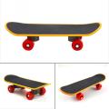【EleganceEssence】PipiFren Small Bird Toys Parrot Stand Skateboard Bird Accessories Claws Traning Mini Slide Plate for Budgies Parakeet Cockatiel. 