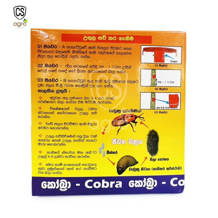 Pheromone%20Red%20Palm%20Weevil%20Trap%20Insect%20Control%20%20%E0%B6%BB%E0%B6%AD%E0%B7%94%20%E0%B6%B4%E0%B7%9C%E0%B6%BD%E0%B7%8A%E0%B6%9A%E0%B7%94%E0%B6%BB%E0%B7%94%E0%B6%B8%E0%B7%92%E0%B6%B1%E0%B7%92%20%E0%B6%8B%E0%B6%9C%E0%B7%94%E0%B6%BD%20-%20Image%204