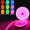 12V Neon LED Strip 5M RGB LED Strip Remote Control Flexible Strip Waterproof Neon Light. 