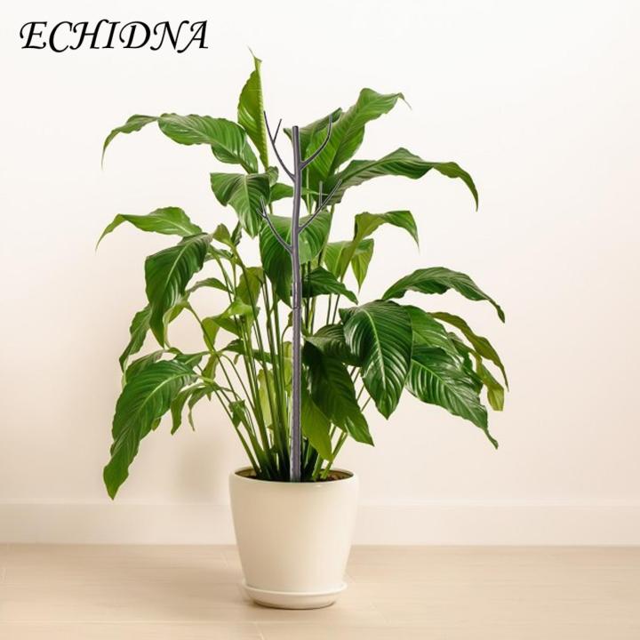 Plant%20Support%20Poles%20Adjustable%20Plant%20Support%20Pole%20Stake%20for%20Stable%20Indoor%20Potted%20Plants%20Prevent%20Falling%20Windproof%20Southeast%20Asian%20Buyers'%20Choice%20Plant%20Climing%20Holders%20-%20Image%206