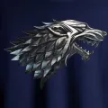 Game of thrones tshirt unisex  men  women   winter is coming. 