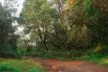 Badulla - ﻿Bambarakanda to Devils Staircase Jeep Safari- Per Person (Min 4 Pax). 