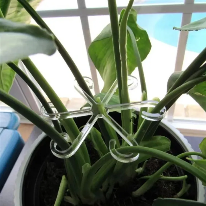 JAERBEE%20Plant%20Stem%20Support,%20Acrylic%20Plant%20Climbers%20Stem%20Holders%20Reusable%20Plant%20Growth%20Accessories%20Stakes%20for%20Growing%20Plants%20A%20-%20Image%202