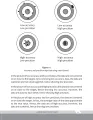 Food Analysis. 