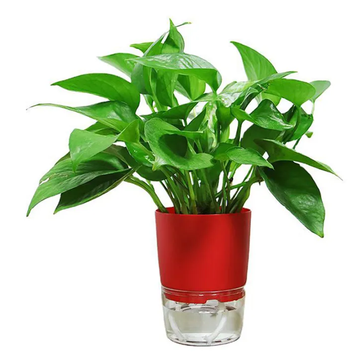 1Pc%20Plant%20Pot%20Self%20Watering%20Clear%20Plastic%20Flowerpot%20Double-Layer%20Water%20Storage%20Automatic%20Water%20Absorption%20Potted%20Flowerpot%20-%20Image%205