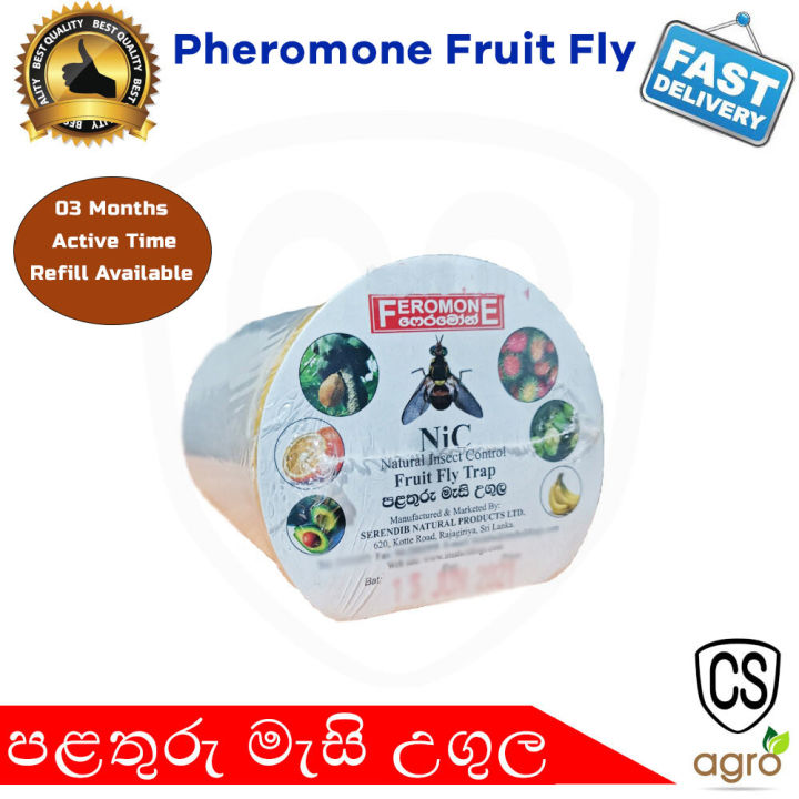 Pheromone%20Fruit%20Fly%20Trap%20CS%20Agro%20Feromone%20Palathuru%20Mesi%20Ugula%20Home%20Garden%20-%20Image%202
