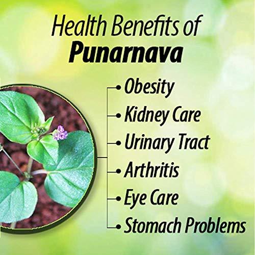 3V%20PRODUCTS%20Mookirattai%20Powder%20-%20Pack%20of%202x50g%20-%20Punarnava%20Powder(FROM%20IND)JEZ%20-%20Image%202