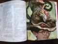 Harry Potter and the Sorcerer's Stone: The Illustrated Edition (Harry Potter, Book 1)，J.K. Rowling. 